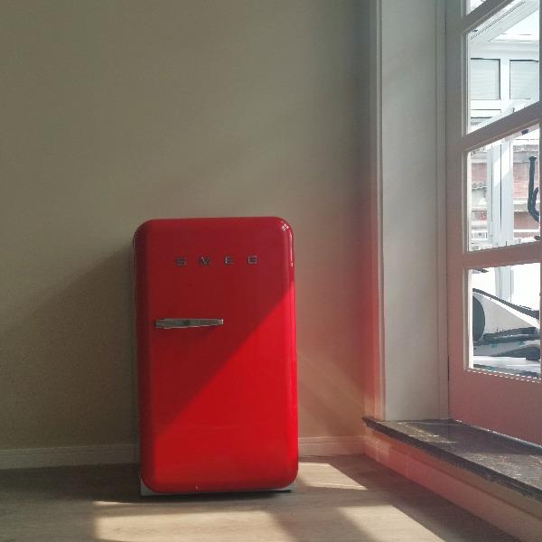 SMEG/斯麦格FAB10独立冰箱
