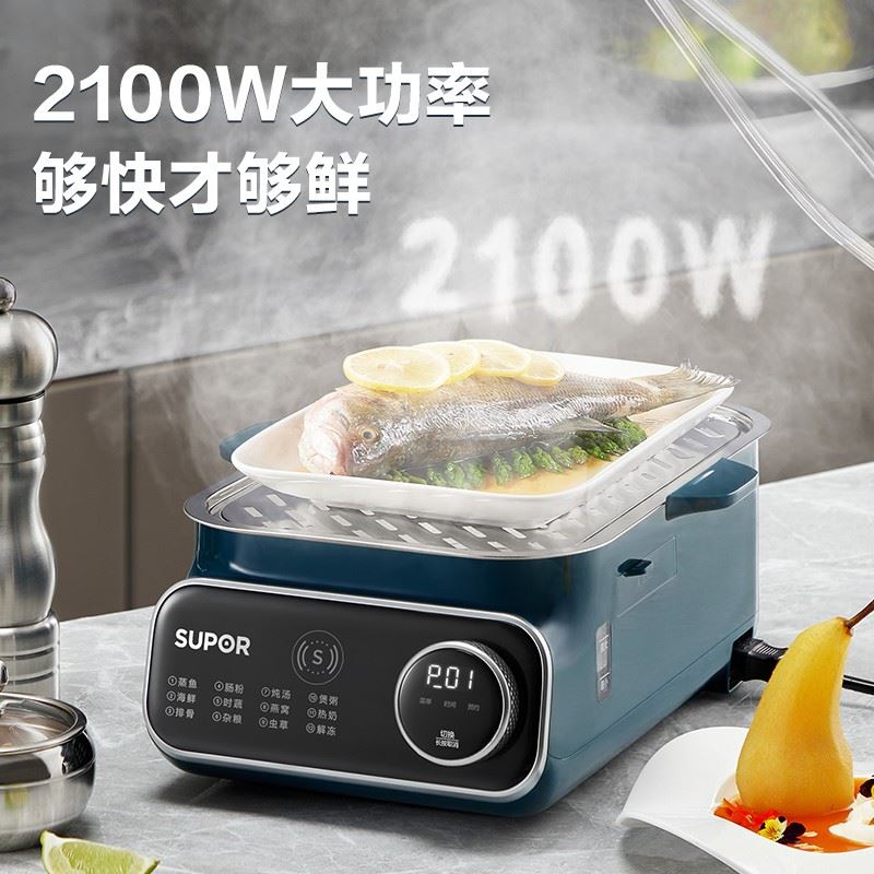 苏泊尔（SUPOR）家用电蒸炖锅ZN2030FC823