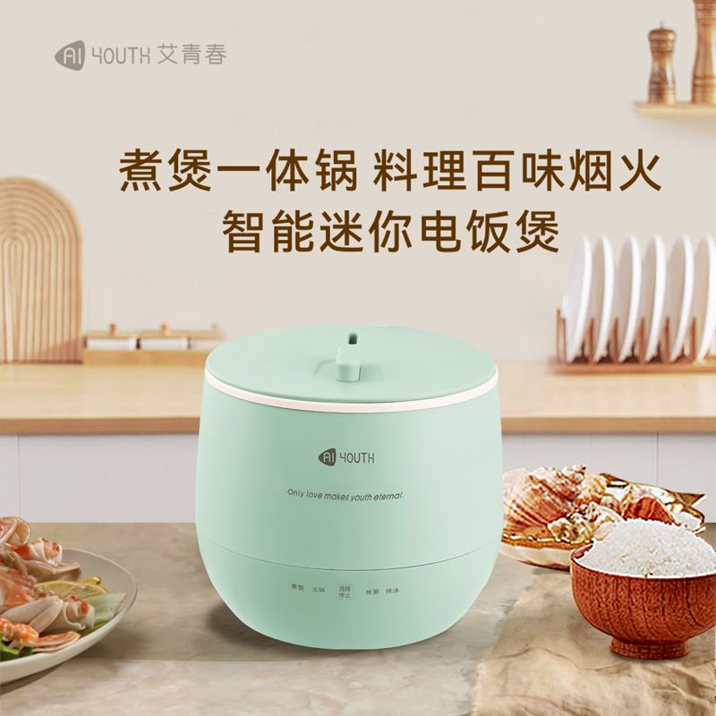 艾青春迷你电饭锅WT-16E