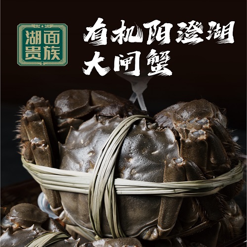 湖面贵族有机大闸蟹1298型