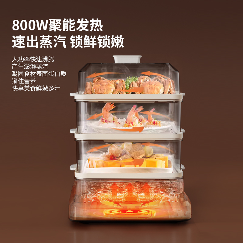 HYUNDAI多功能电蒸锅XX-DZG08