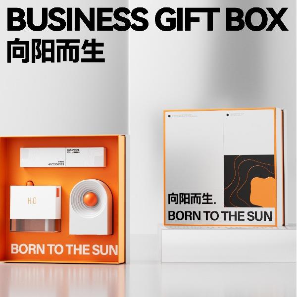 长青兔向阳而生套装