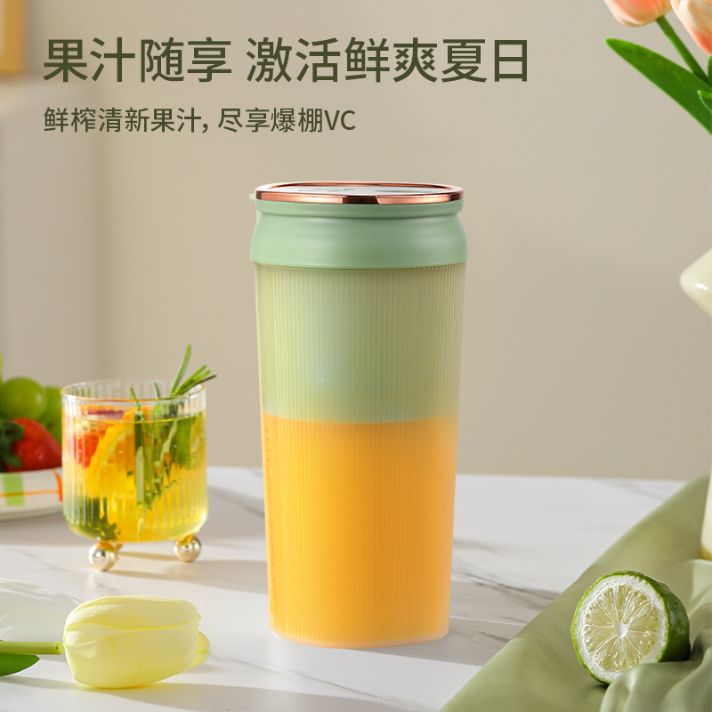 颐电电动果汁杯AD-9052